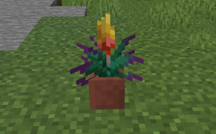 観賞用として飾る