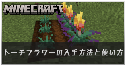 トーチフラワーの入手方法と使い方