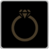 指輪2 アイコン.png