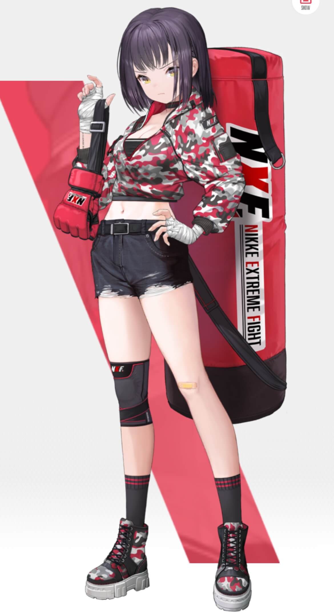 エクストリームファイター