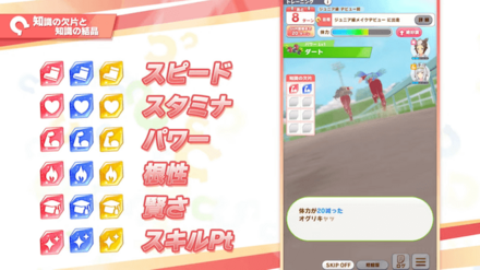 トレーニングやお出かけ、お休みで知識の欠片を集める