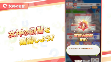 知識の欠片8個集めて女神の叡智を獲得