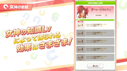女神の叡智で知識Lvを上げて様々な効果を獲得
