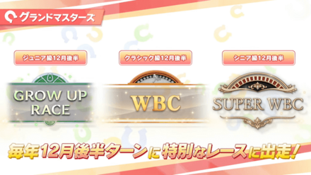 毎年12月後半ターンに特別なレースに出走
