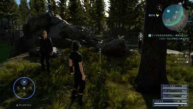 イエローフロッグの場所2