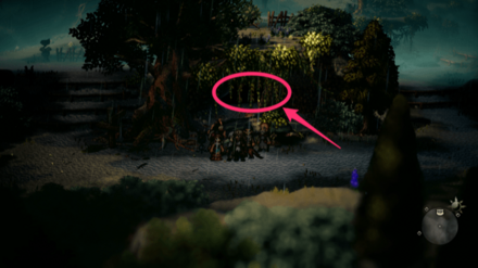 踊子の祭壇の場所