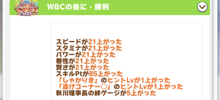 WBCレース後イベント