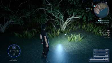 七色のカエルの場所