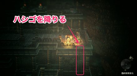 ハシゴを降りる