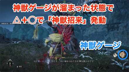 神獣招来のやり方