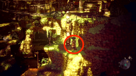 案内人の獣人を導く