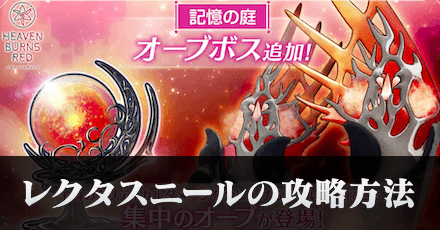 レクタスニール