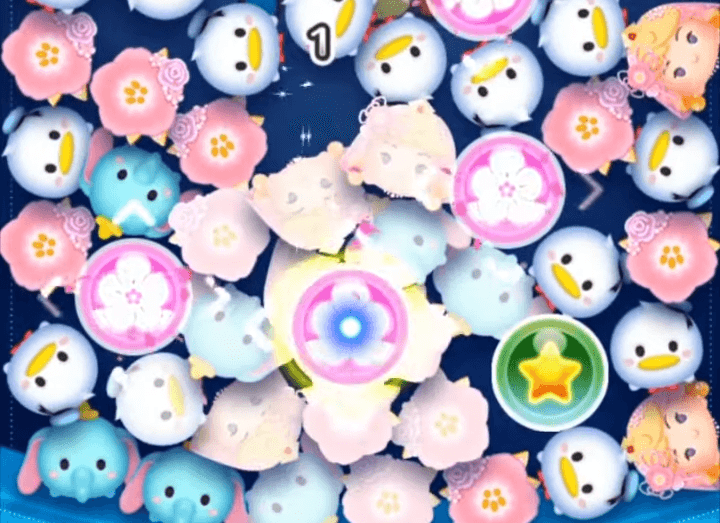 フラワーオーロラ姫