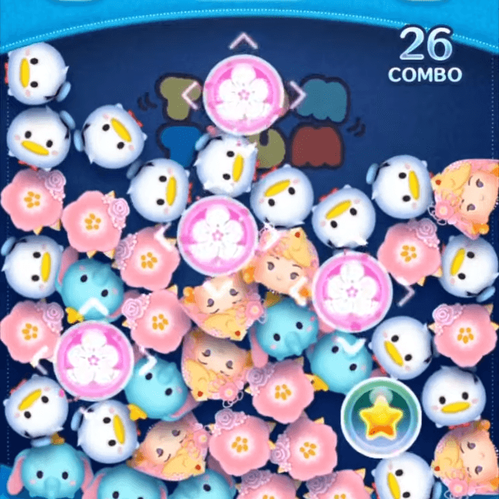 フラワーオーロラ姫