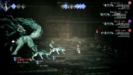 カニスディルス