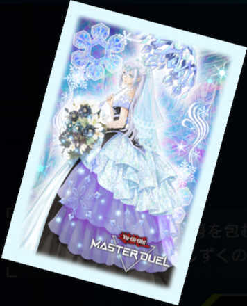 六花聖ティアドロップのプロテクター