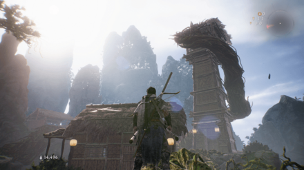 セミおじがいる場所