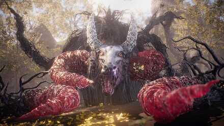 ゴウエツの画像