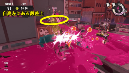 通常ヒカリバエ