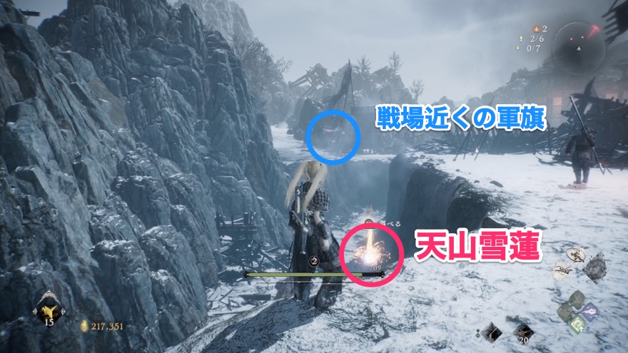 天山雪蓮の入手場所の例