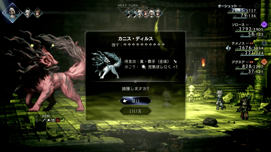 カニスディルス捕獲