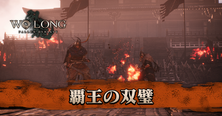 覇王の双璧画像