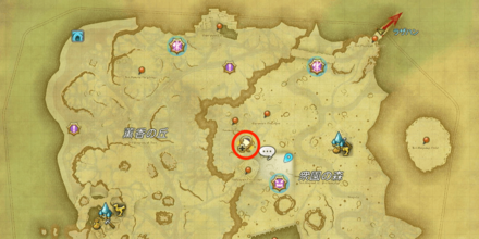 衆園の森の探索地点2