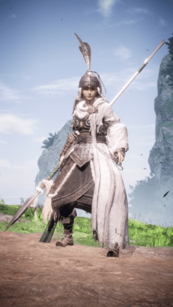 "趙雲（豪胆）の見た目"