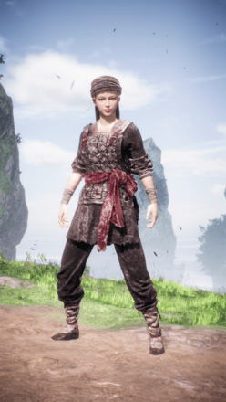 "秦山賊徒の見た目"