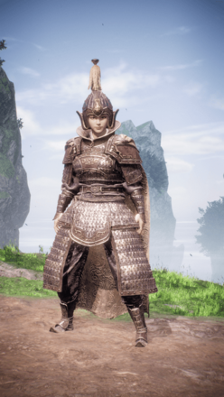 "袁紹（諸侯盟主）の見た目"