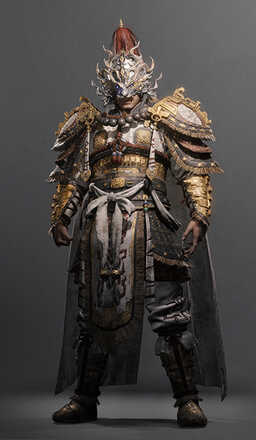 "白虎の見た目"