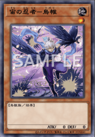 宙の忍者－鳥帷画像