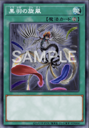 黒羽の旋風画像