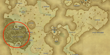 ラケティカ大森林