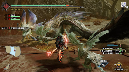 タマミツネ希少種