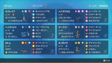 セグカミラッシャ