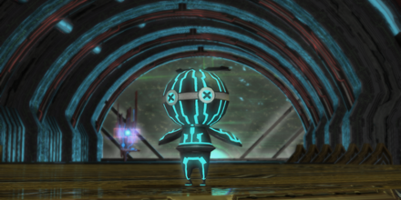 プライベート・パキポディウム