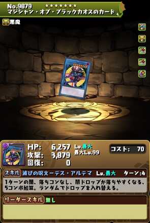 マジシャンオブブラックカオス装備