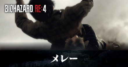 メレー(体術)のやり方とベリィトゥベリィの条件