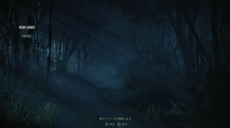 ニューゲームを押すと発生