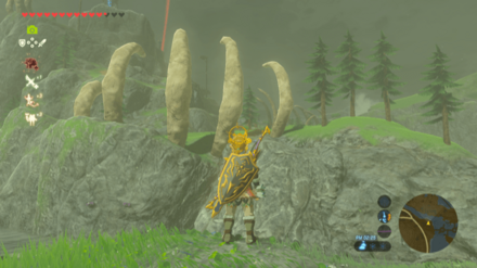 ボネ湖方面にパラセール