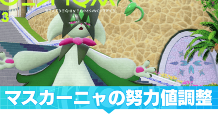 マスカーニャの努力値調整