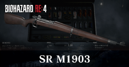 SRM1903の入手方法と改造性能