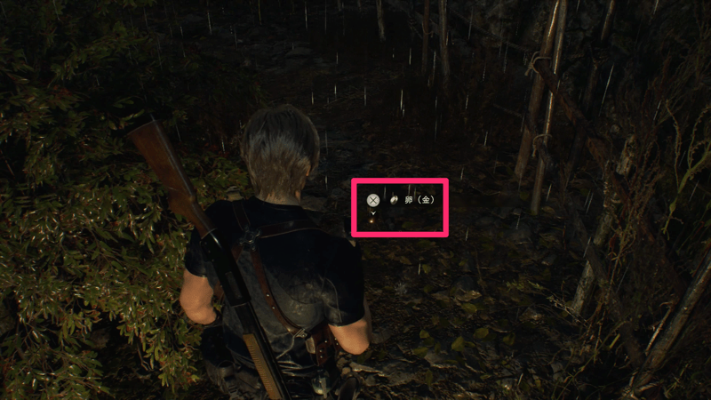 湖の東にある鶏が多くいる場所で入手