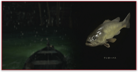 求む、巨大魚画像