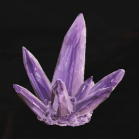 ヴェルベットブルー画像