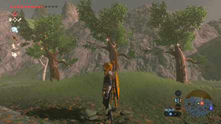 フルーツ合わせ