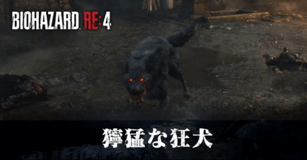 獰猛な狂犬の受注場所と報酬