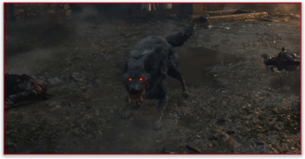 獰猛な狂犬画像