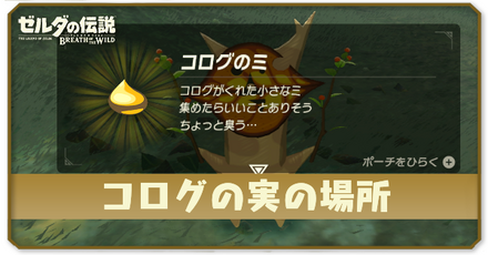 コログの実の場所